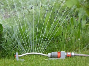 sprinklers