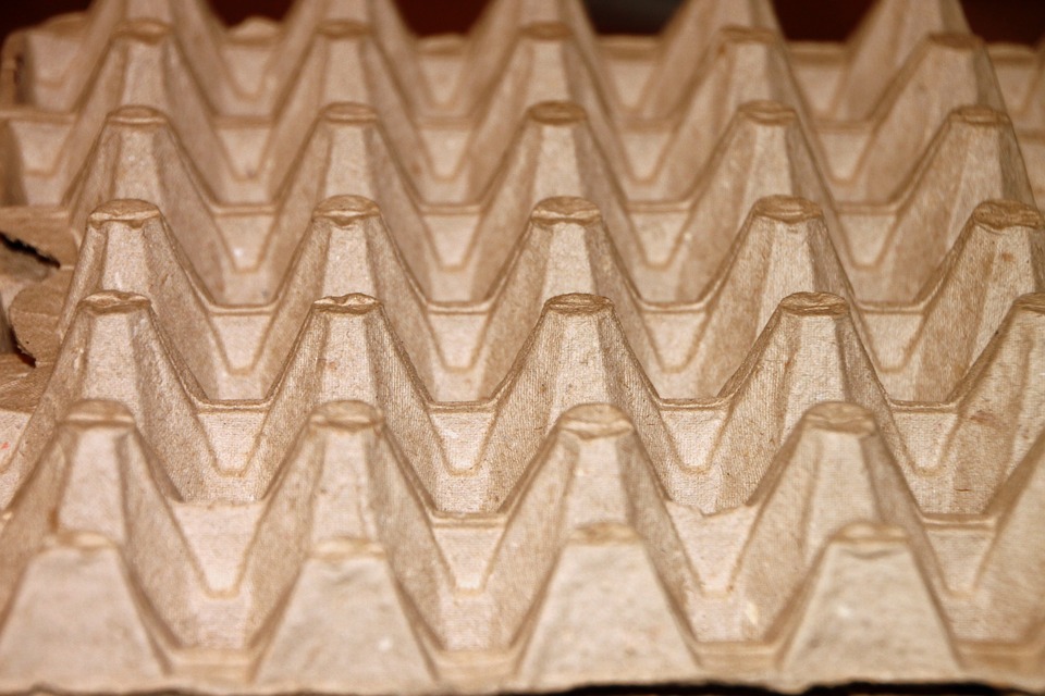 Everyday Items You Can Repurpose and Reuse